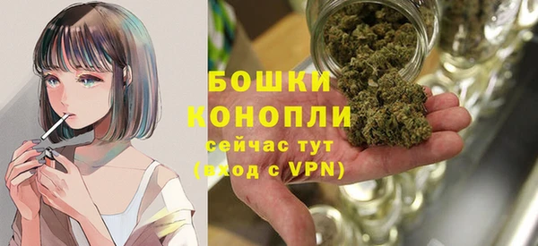 винт Майский